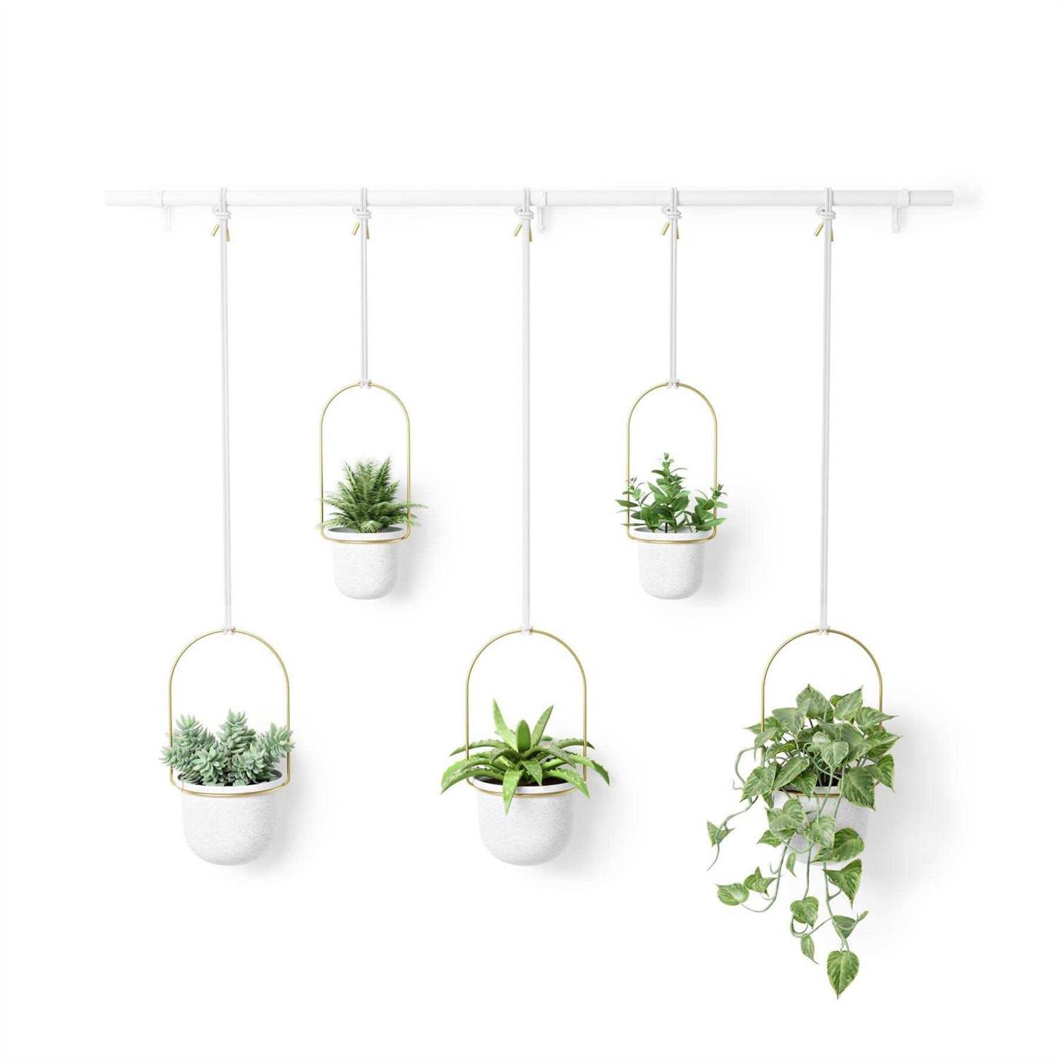 Umbra Triflora Hanging Planter