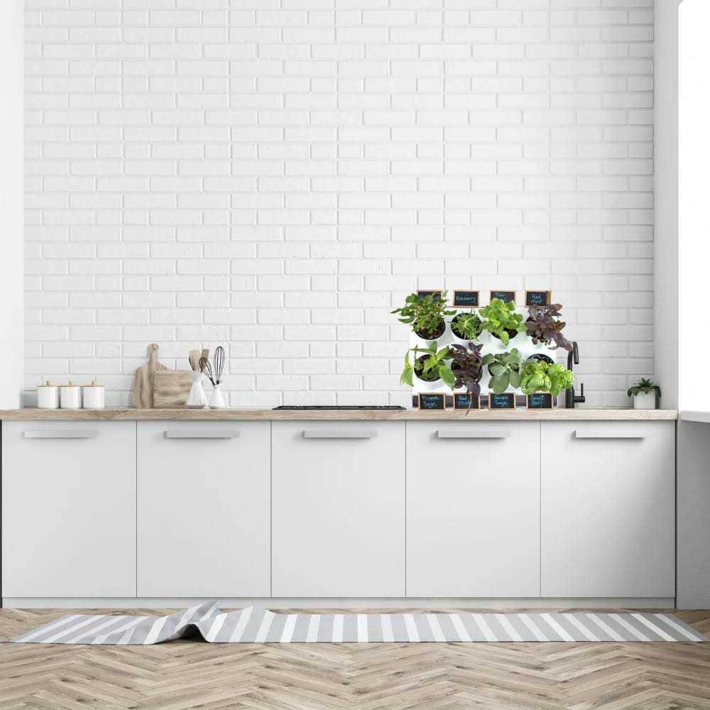 Watex Countertop Garden Kit