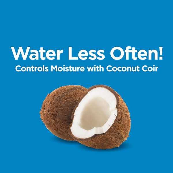 Burpee Natural & Organic 8 qt. Potting Mix