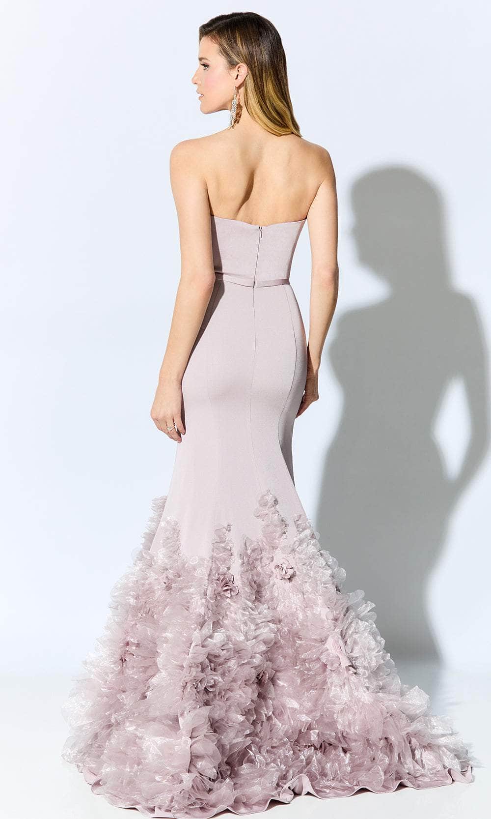 Tulle Appliqued Formal Gown