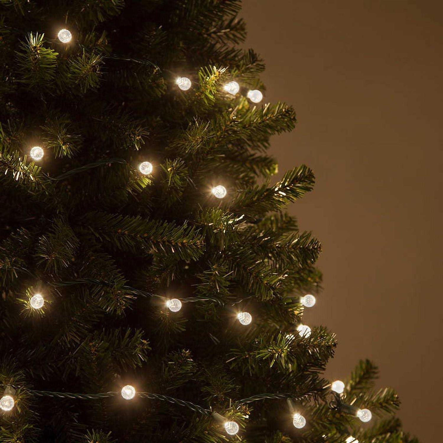 Wintergreen Lighting 70 Light String LED Lights