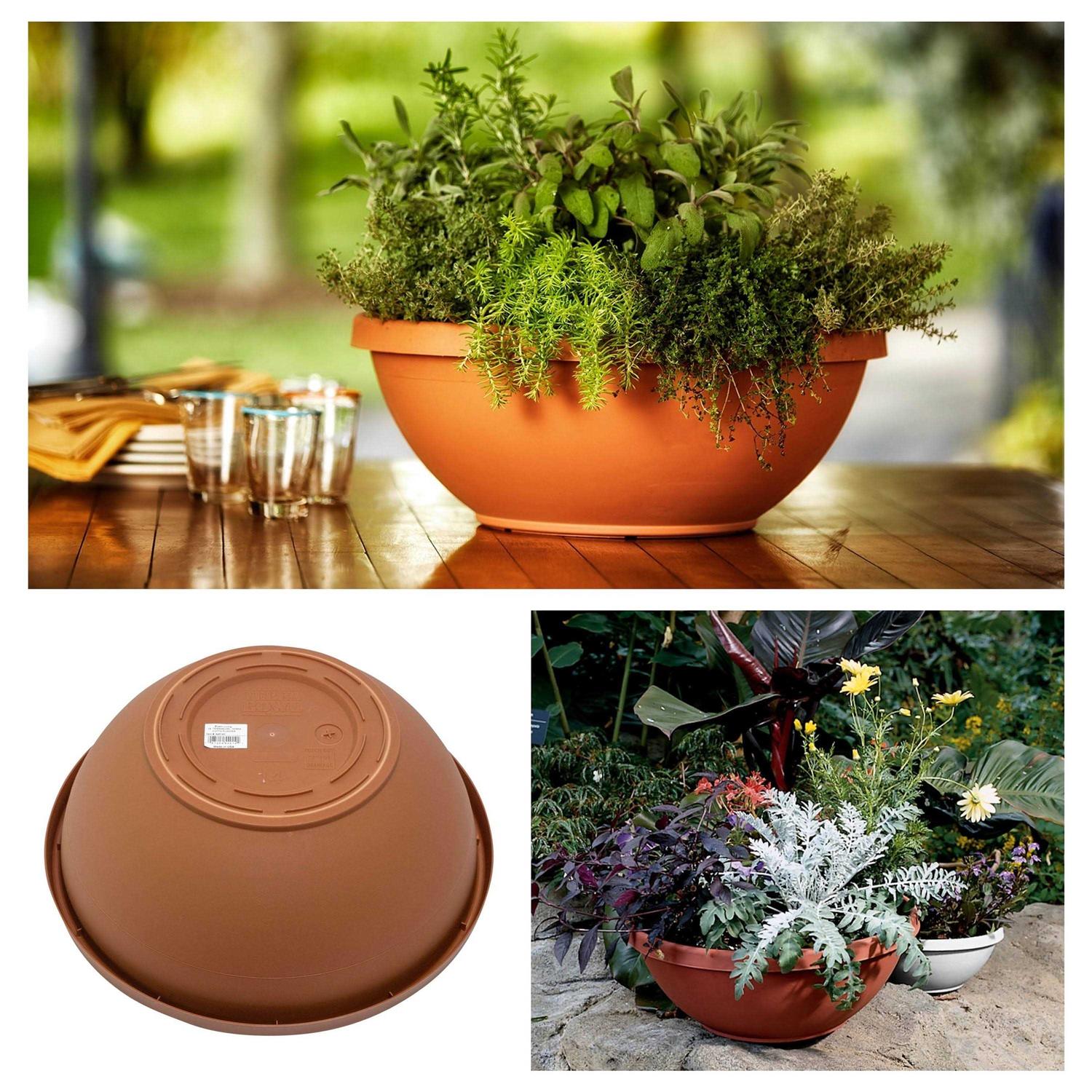 Bloem Terra Bowl Planter
