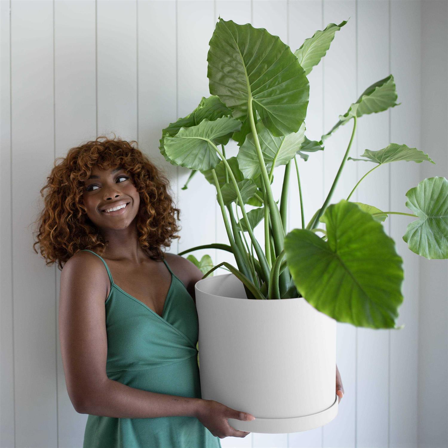 Bloem Mathers Plastic Planter Saucer Tray