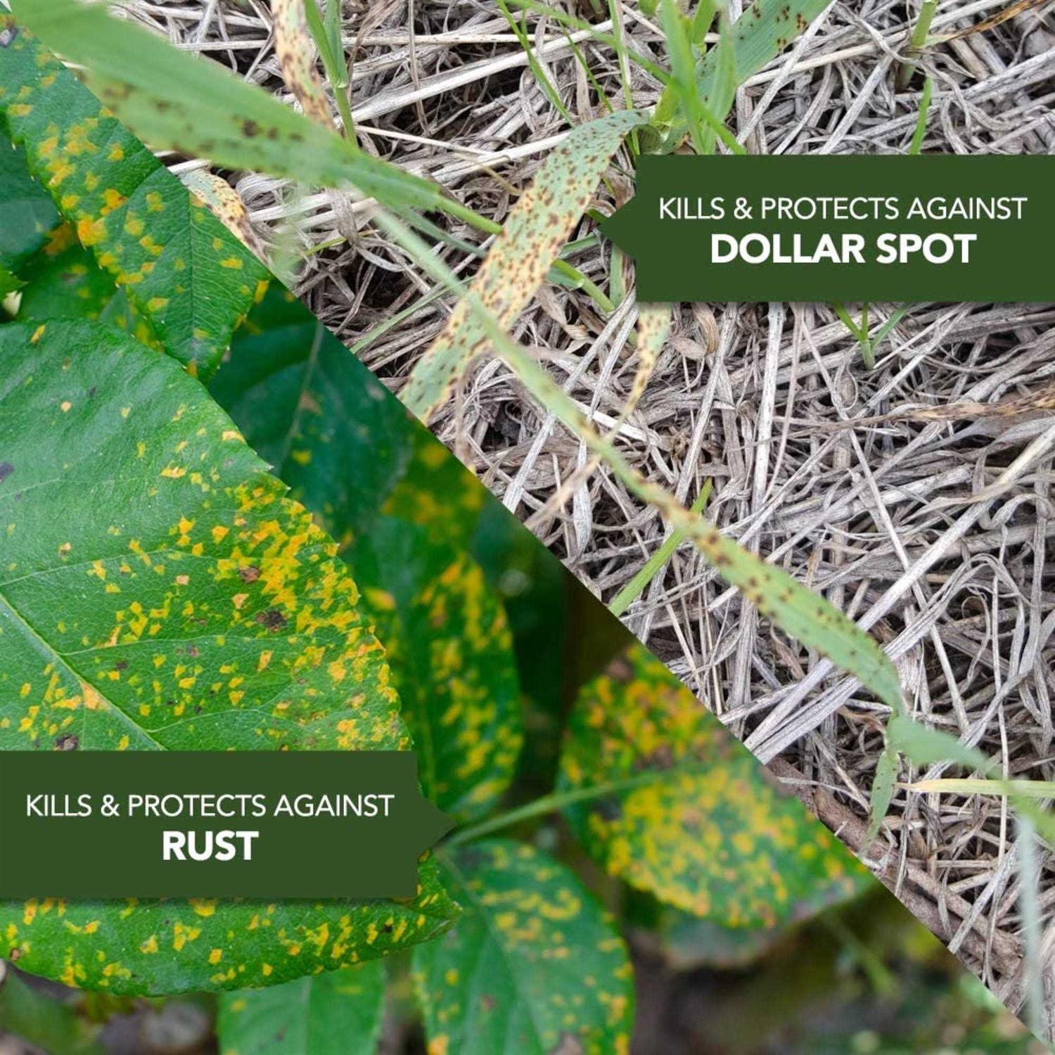 BioAdvanced Fungus Control For Lawns