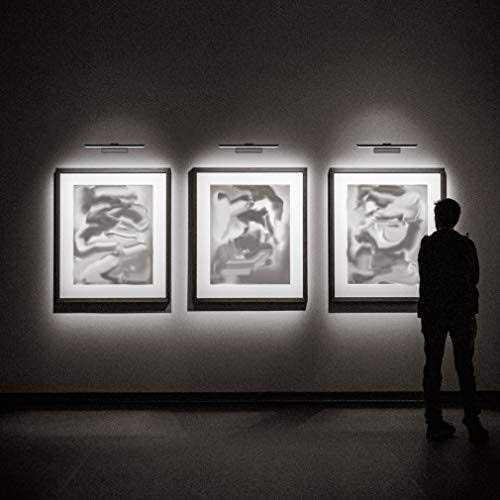 Westek Satin Gold 16 in. LED Swivel Picture Light with Remote Control