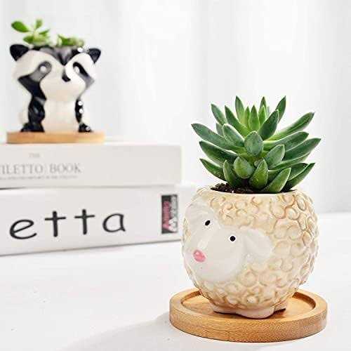 B Sepor Small Ceramic Animal Succulent Planters