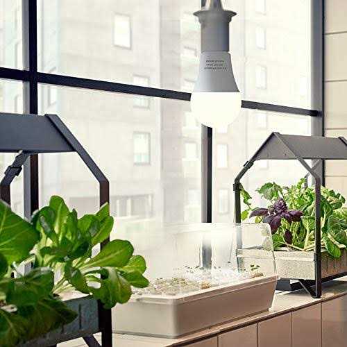 Wiyifada 3 Pack Grow Light Bulb Indoor Grow Light,A19 Full Spectrum Plant Light Bulb,E26 110V 9W Grow Bulb Replace up to 100W