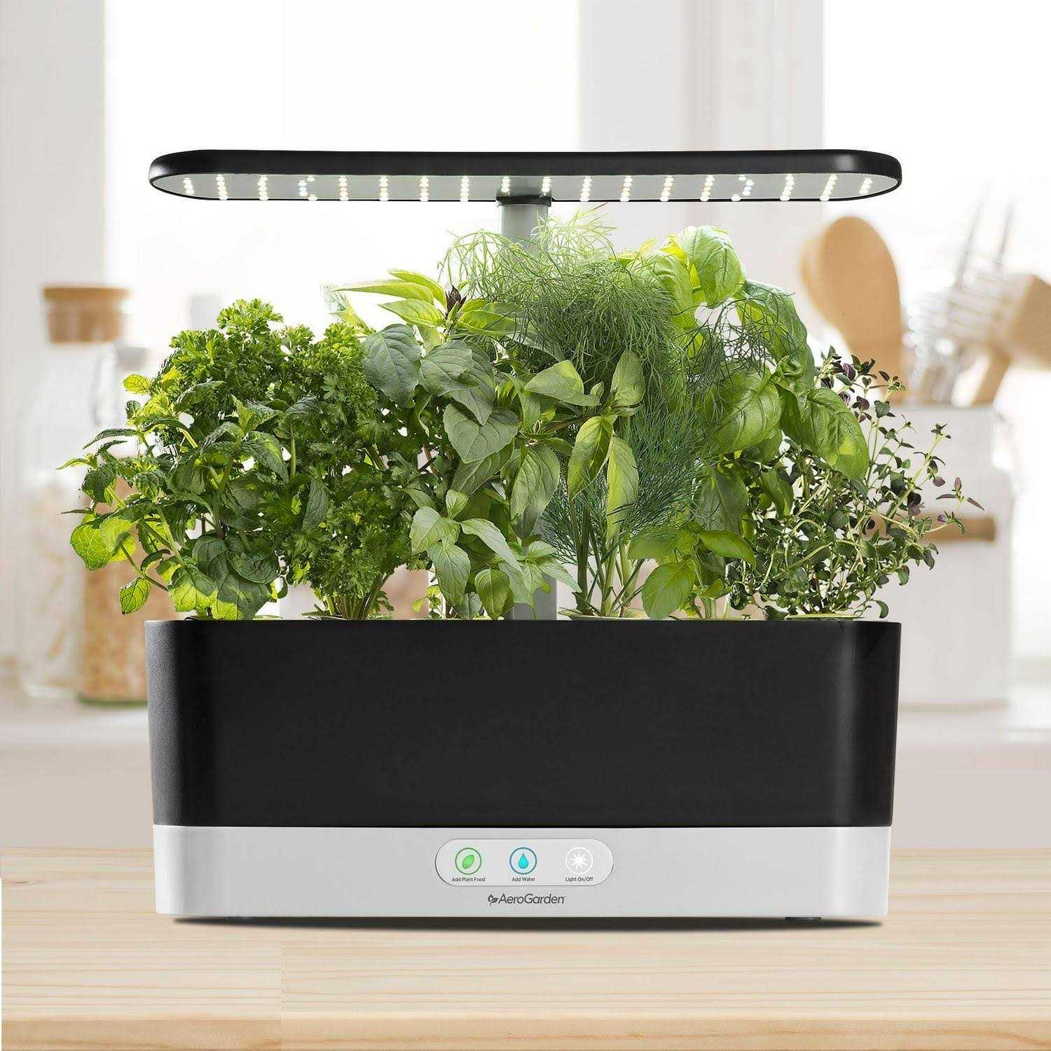 AeroGarden Harvest Slim with Gourmet Herb Seed Pod Kit