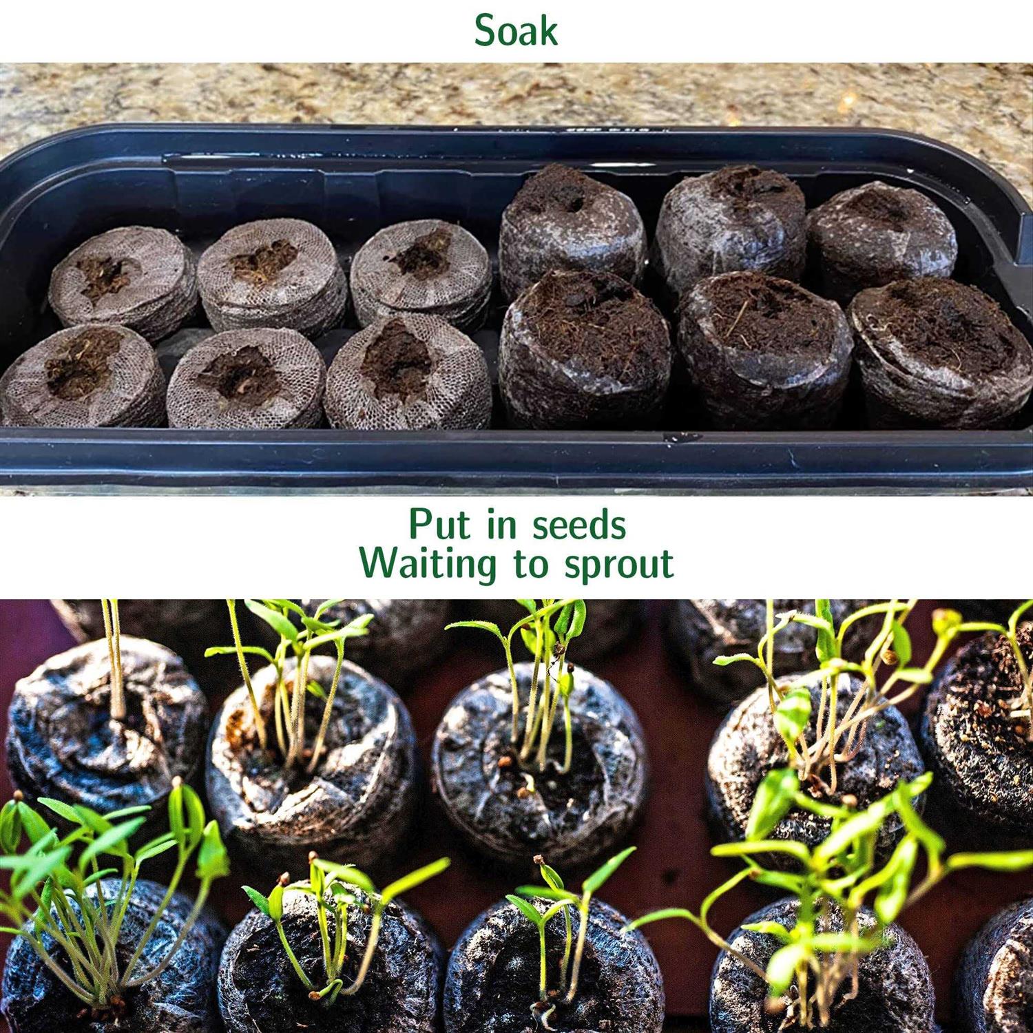 100 Pcs peat pellets Plant Starter,30MM Plant Starting Plugs,Fiber Soil Direct Plant Seeding Starters peat pellets for seedlings