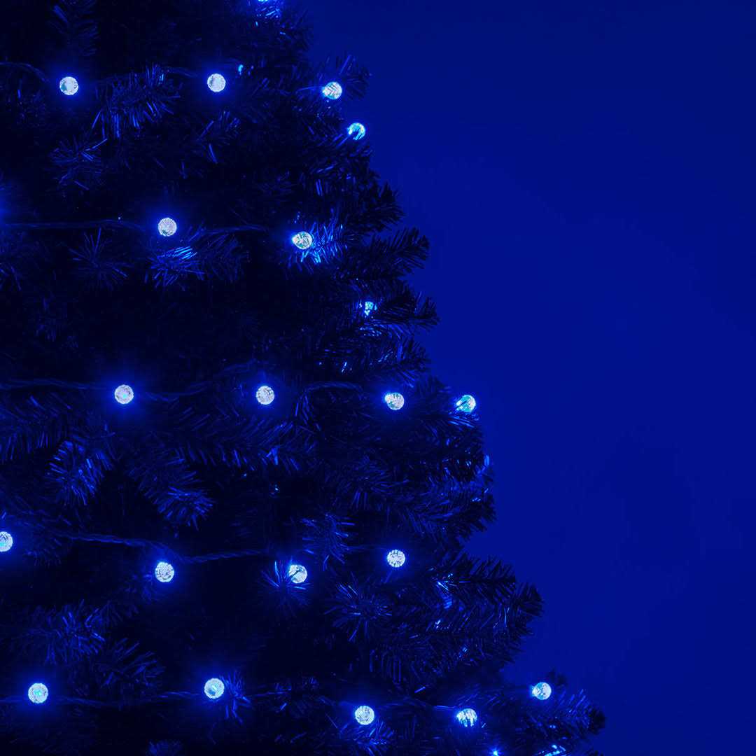 Wintergreen Lighting 70 Light String LED Lights