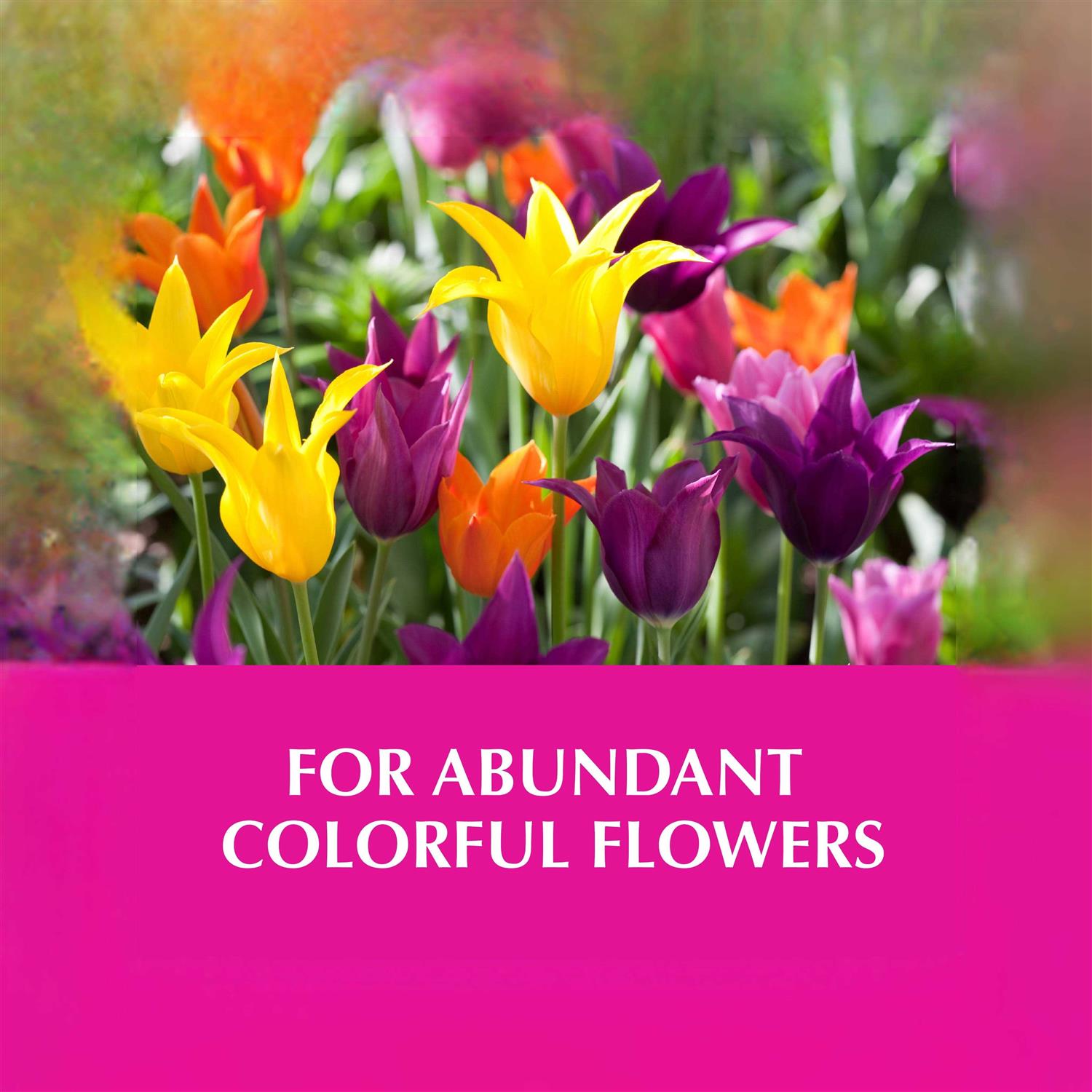 Alaska Morbloom Fertilizer