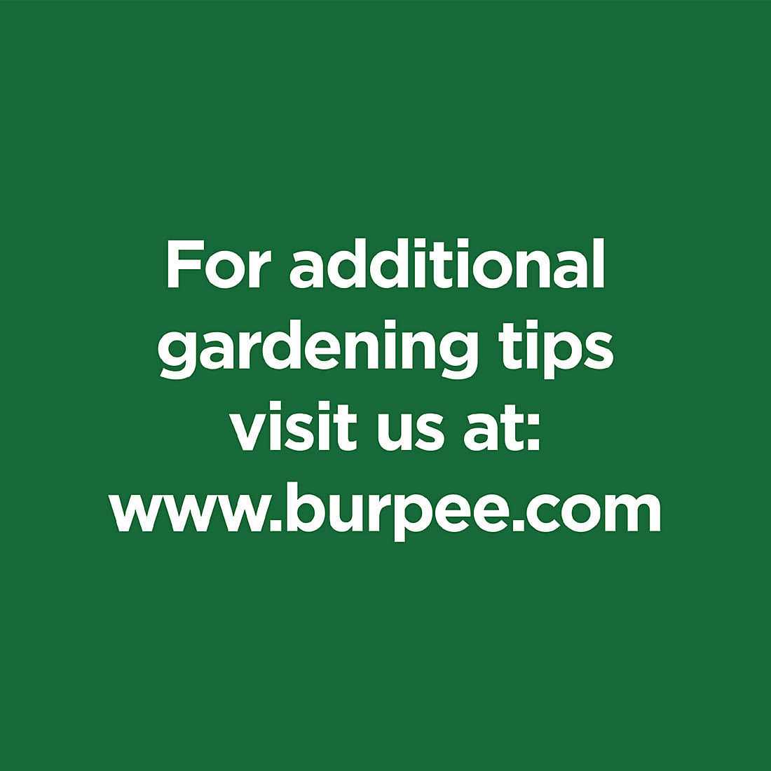 Burpee Natural & Organic 8 qt. Potting Mix