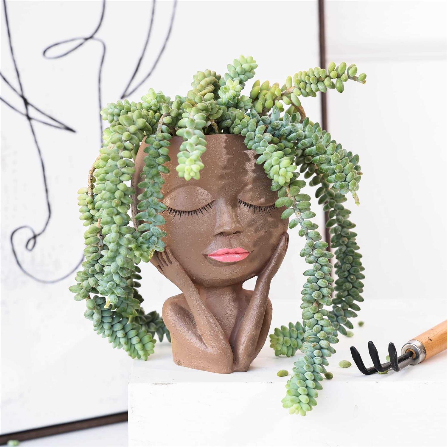 Aimebby Face Flower Pot Head Planter Pot Succulent Planter Cute Resin Cactus Planter with Drainage Hole Closed