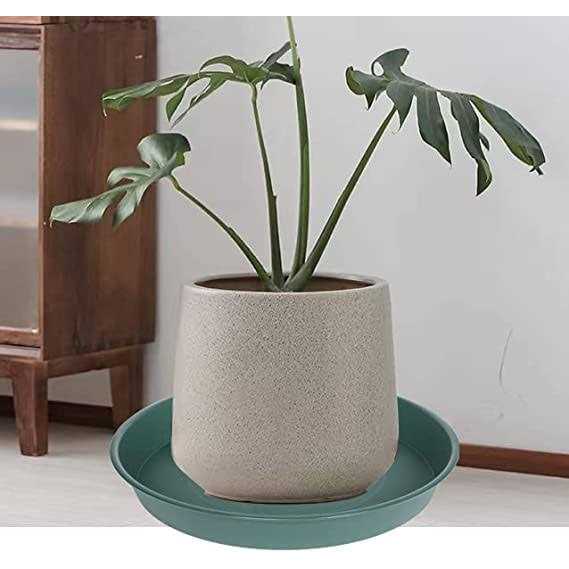 Bleuhome 3 Pack Plant Saucer Depth Tray
