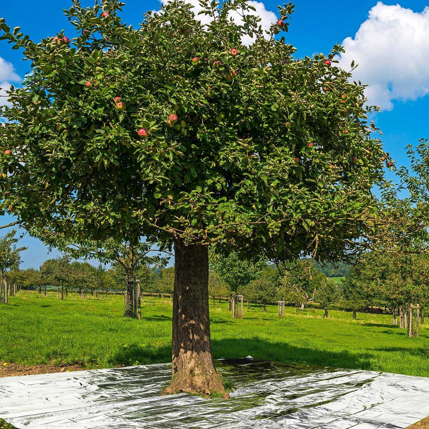 Maitys 4 Pcs Emergency Blankets High Silver Reflective Foil Sheet Heat Foil Protection Rescue Blankets Camping Blanket Hiking Space Blankets and