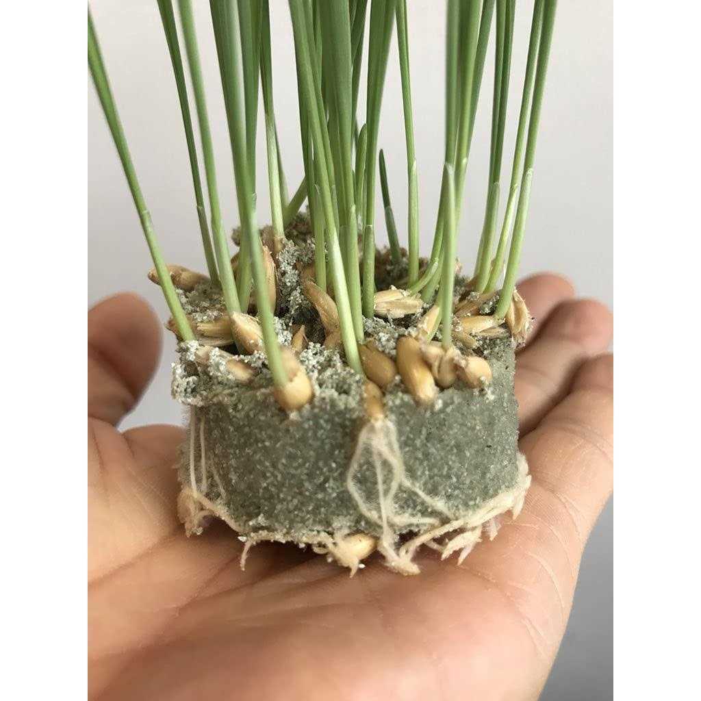 Commercial Grade Super Absorbent Polymer Potassium Based Water Crystal