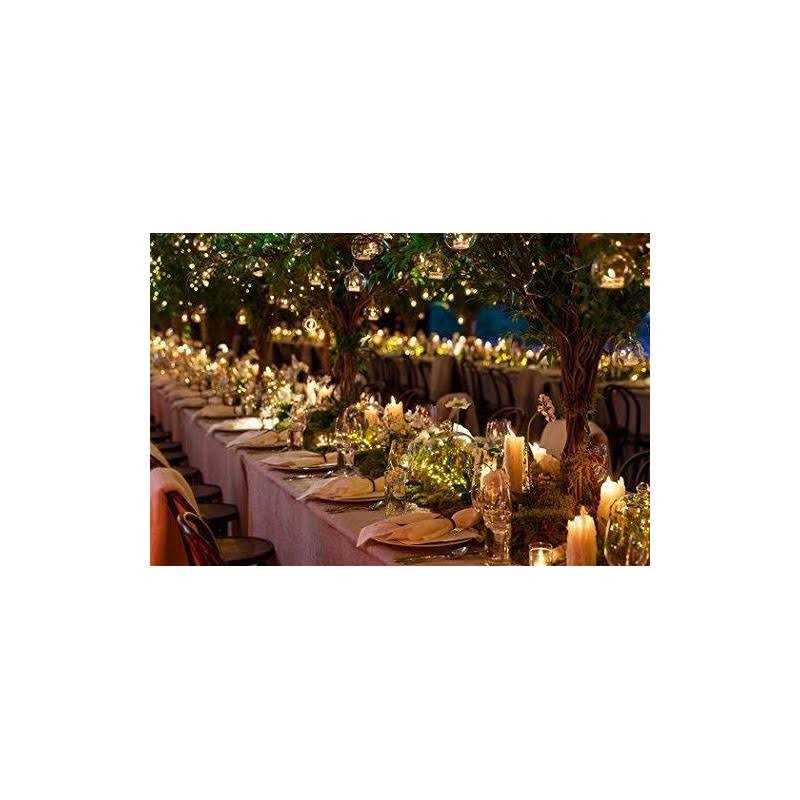 6feet 120 Led Starry Lights Dailyart Battery Operated Waterproof Dark Green Copper Wire Fairy Light String Light For Garland