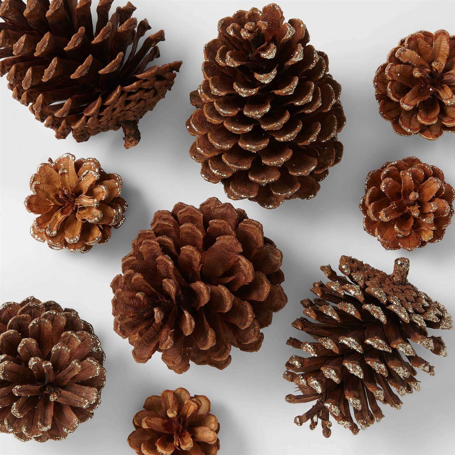 Wondershop 12ct Pinecone Decorative Filler Natural/Glitter