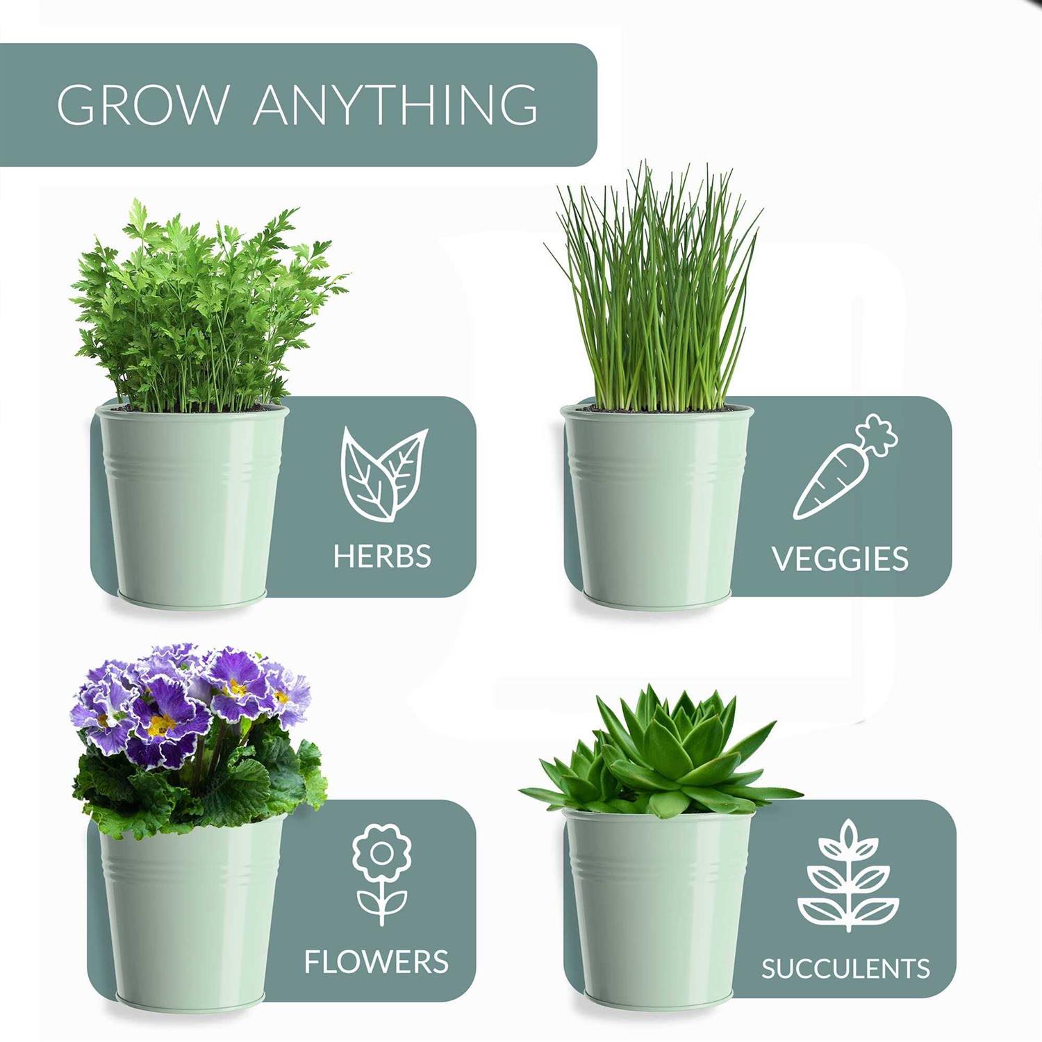 Barnyard Designs Herb Planter Set with Tray Indoor Garden or Outdoor