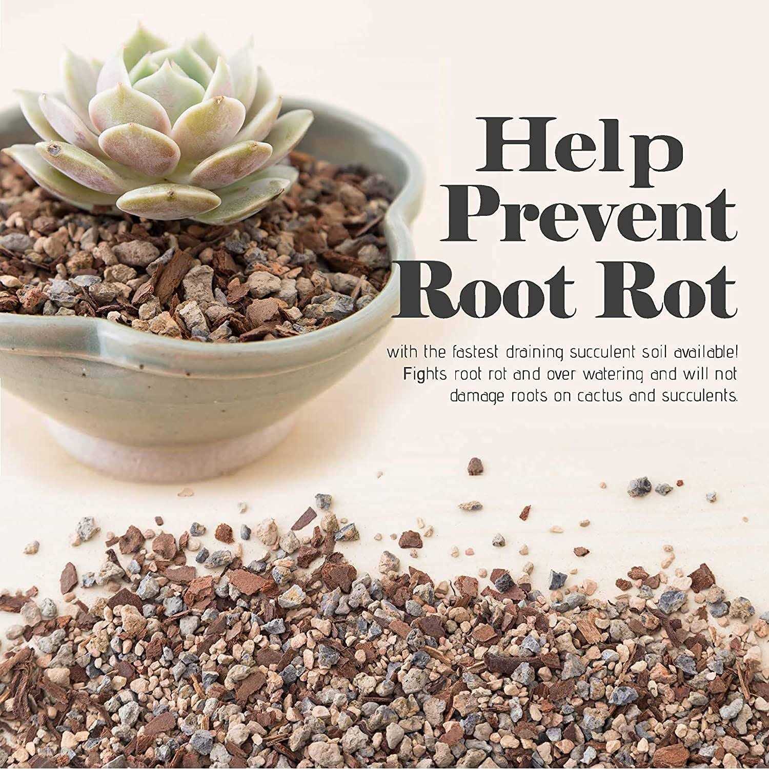 Bonsai Jack Succulent and Cactus Soil Jacks Gritty Mix