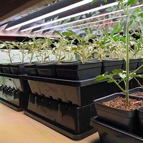 Bootstrap Farmer 1020 Trays Extra Strength No Holes