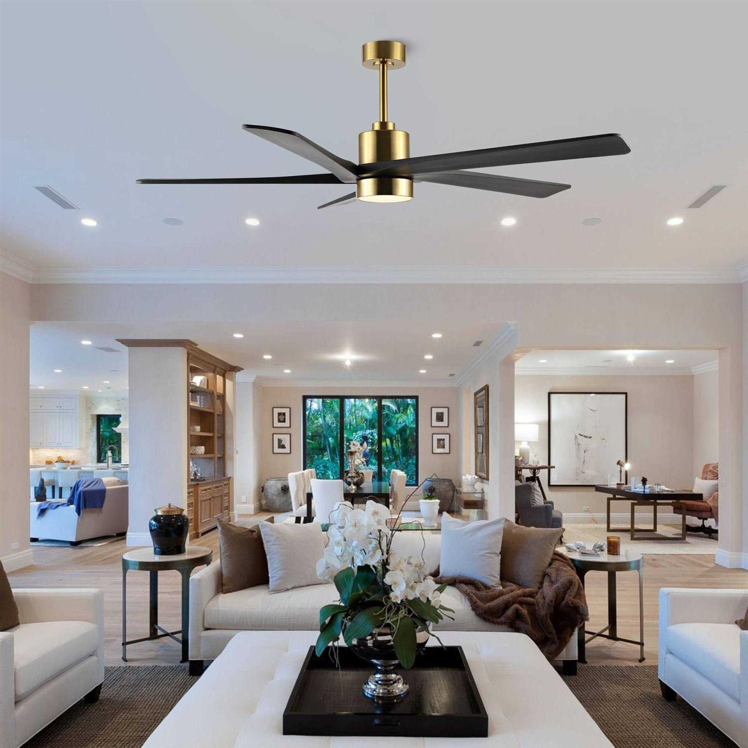 WINGBO DC Ceiling Fan with Lights and Remote Control