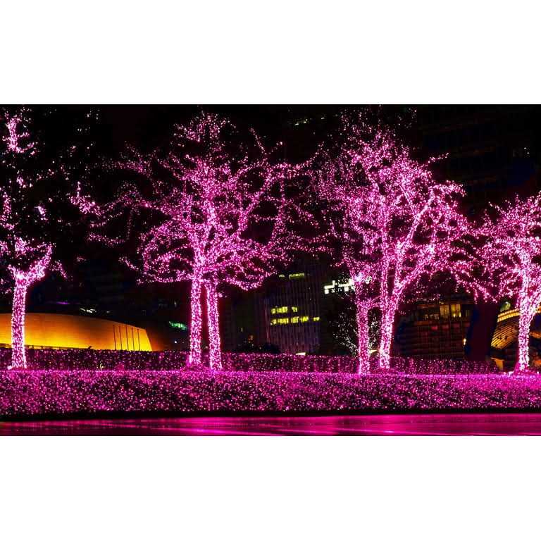 612 Vermont Christmas Lights on a White Wire String, UL Approved Indoor and Outdoor Use