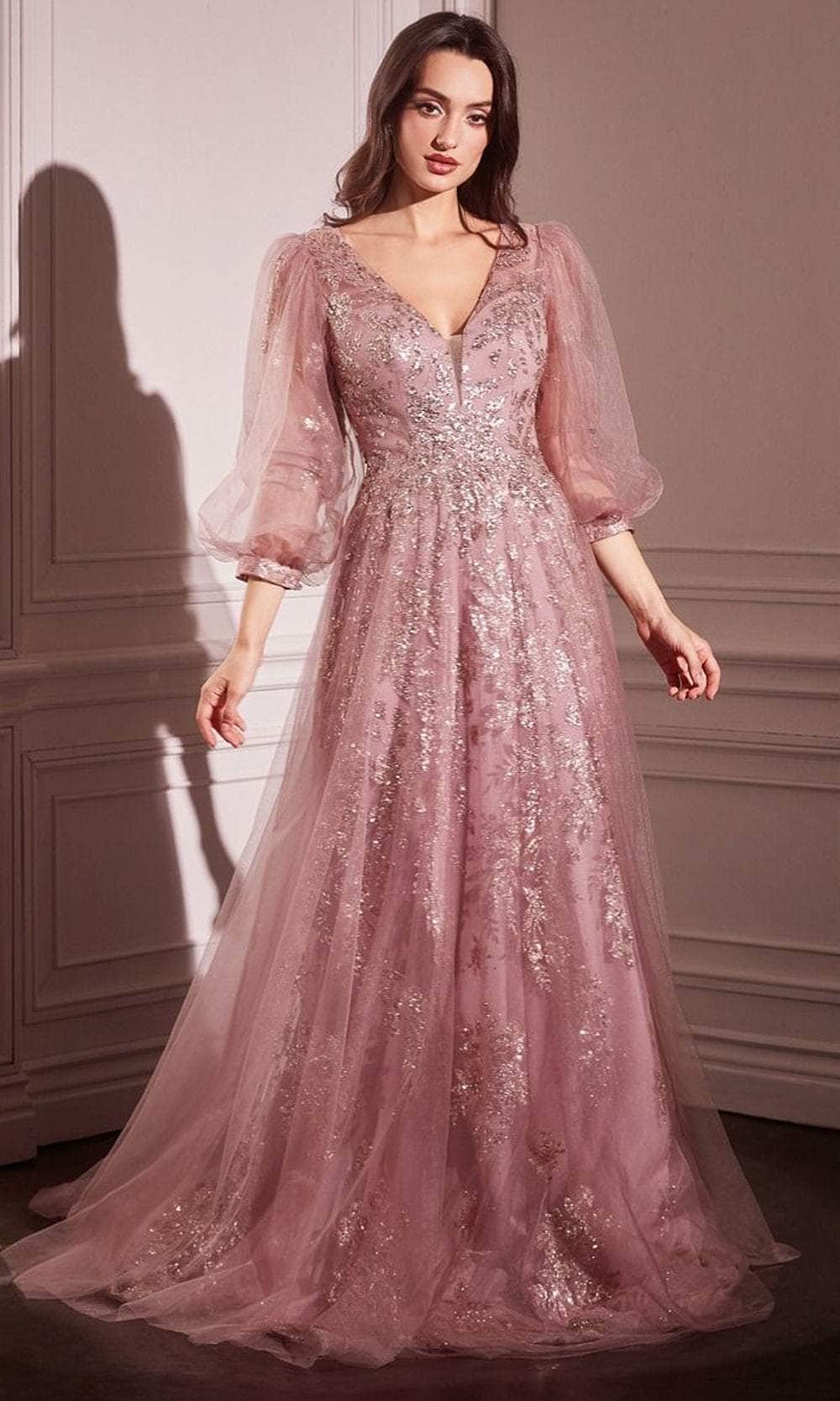 Long Sleeve Lace Applique Gown