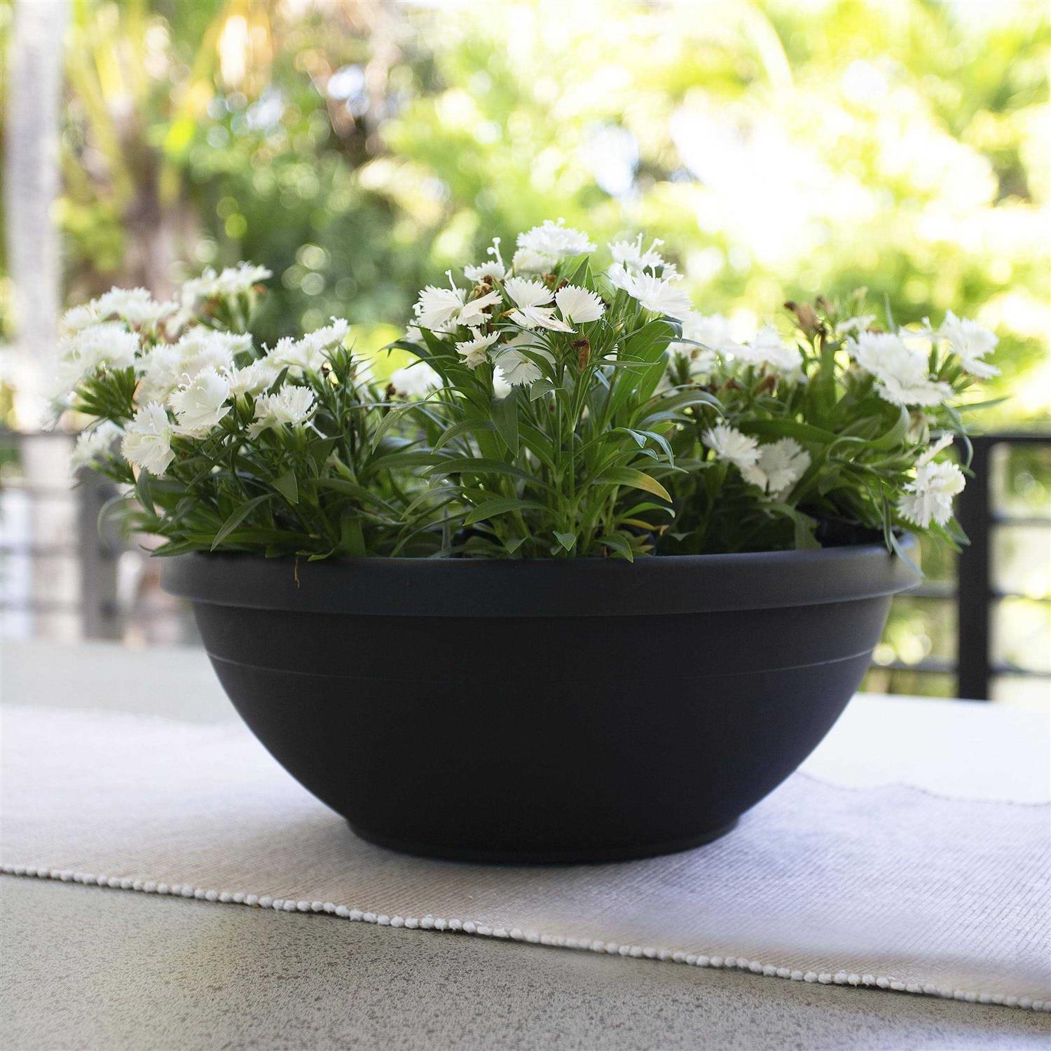 Bloem Terra Bowl Planter