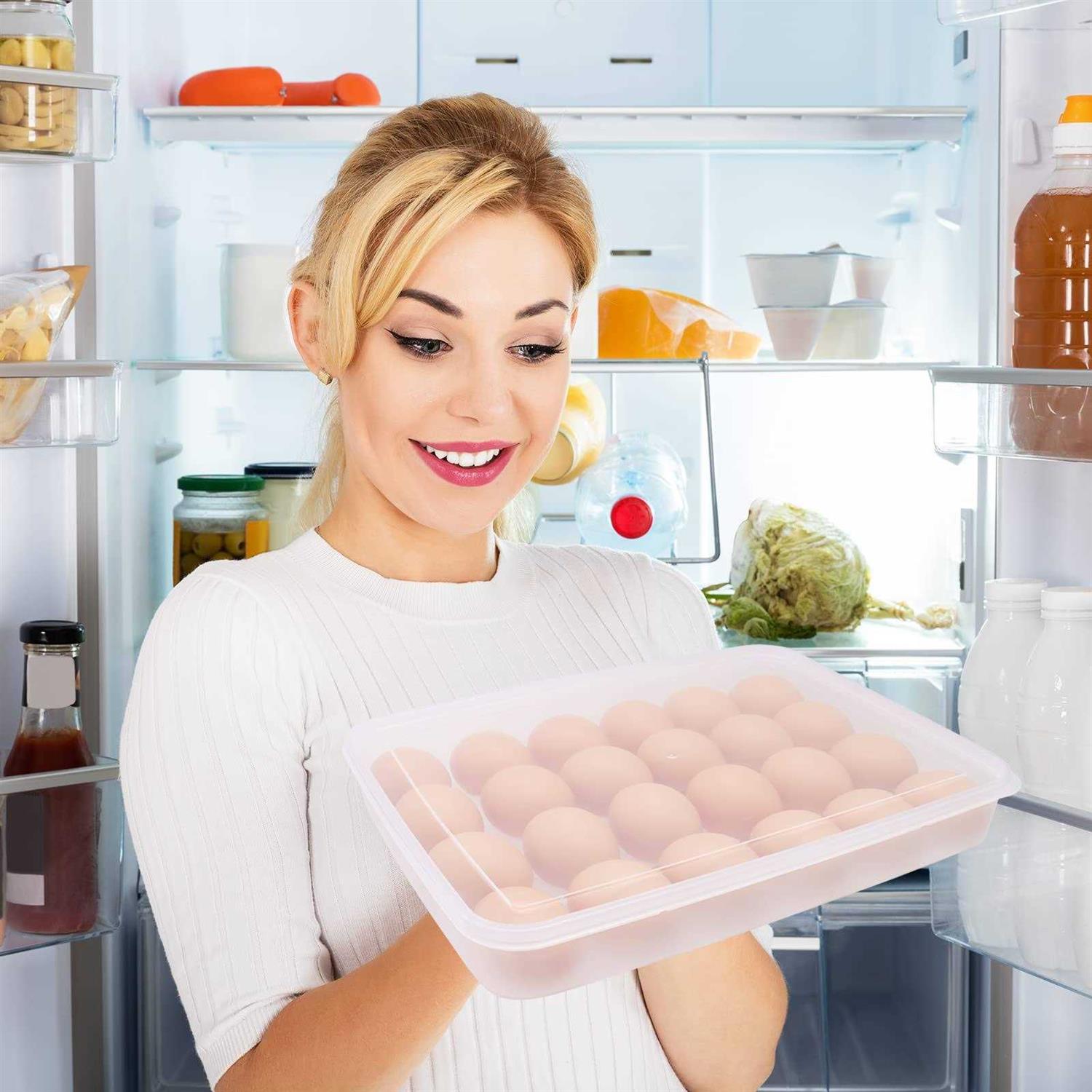 2 Pack Covered Egg Holder,Clear Egg Holder Storage Container,Stackable Plastic Refrigerator Egg Trays for Deviled Egg,Protect and Keep Fresh