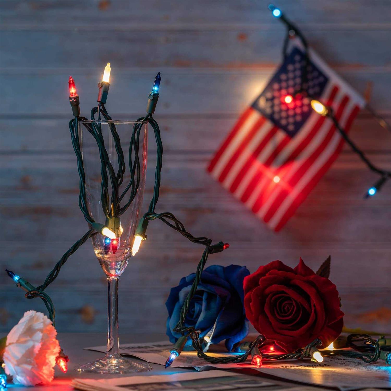 YULETIME Christmas Lights Wire 66 Feet 200 Count UL Certified String Lights