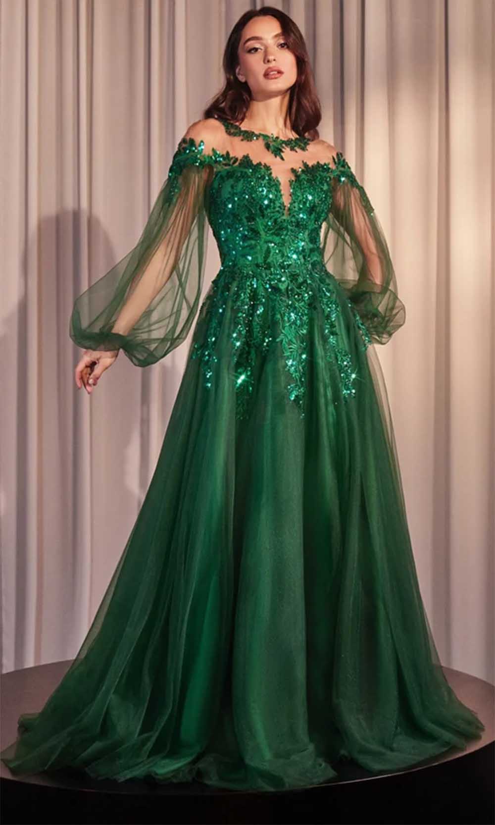 Bishop Sleeve Evening Gown