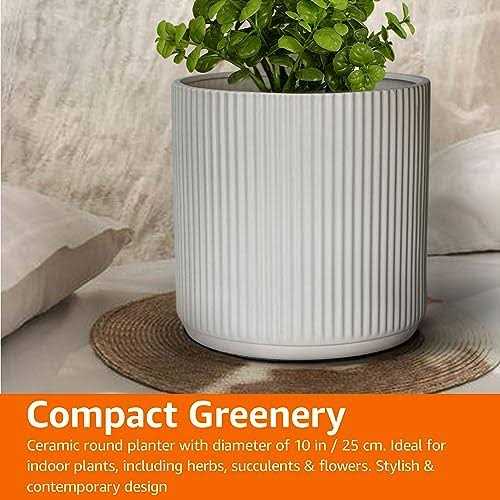 Amazon Basics Fluted Ceramic Round Planter