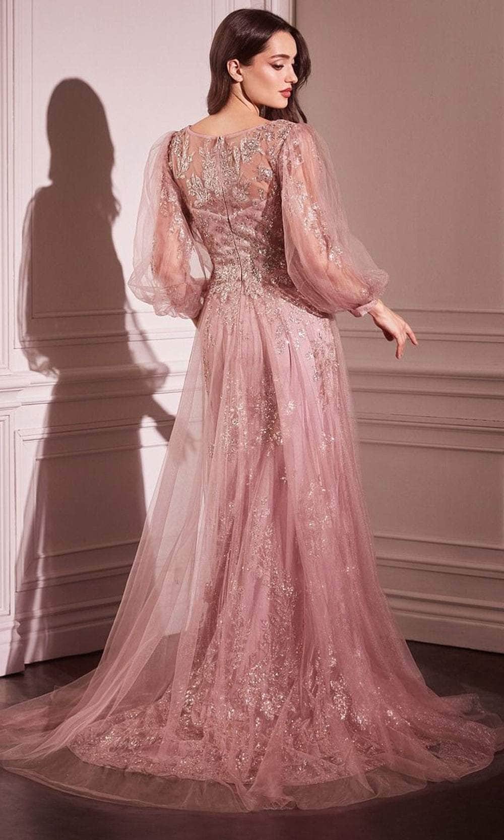 Long Sleeve Lace Applique Gown