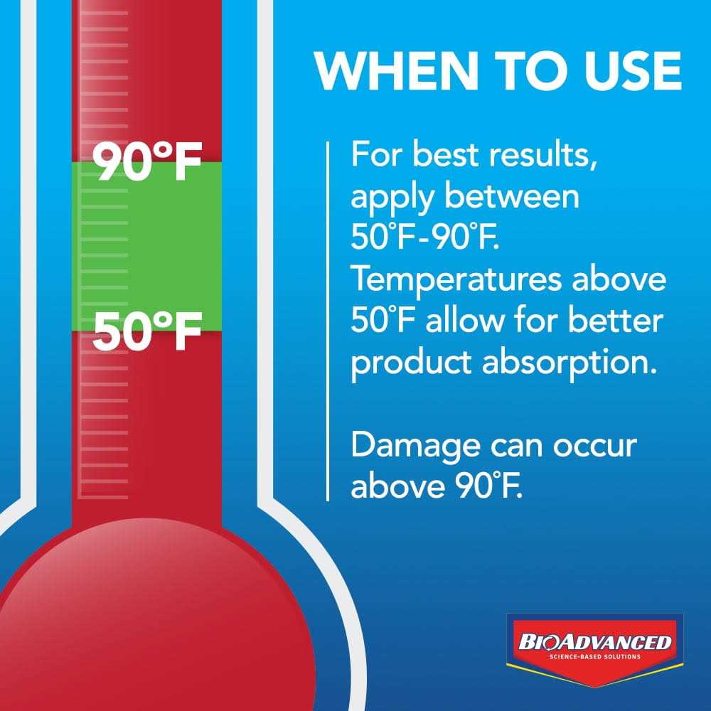 BioAdvanced 3 In 1 Weed and Feed For Southern Lawns