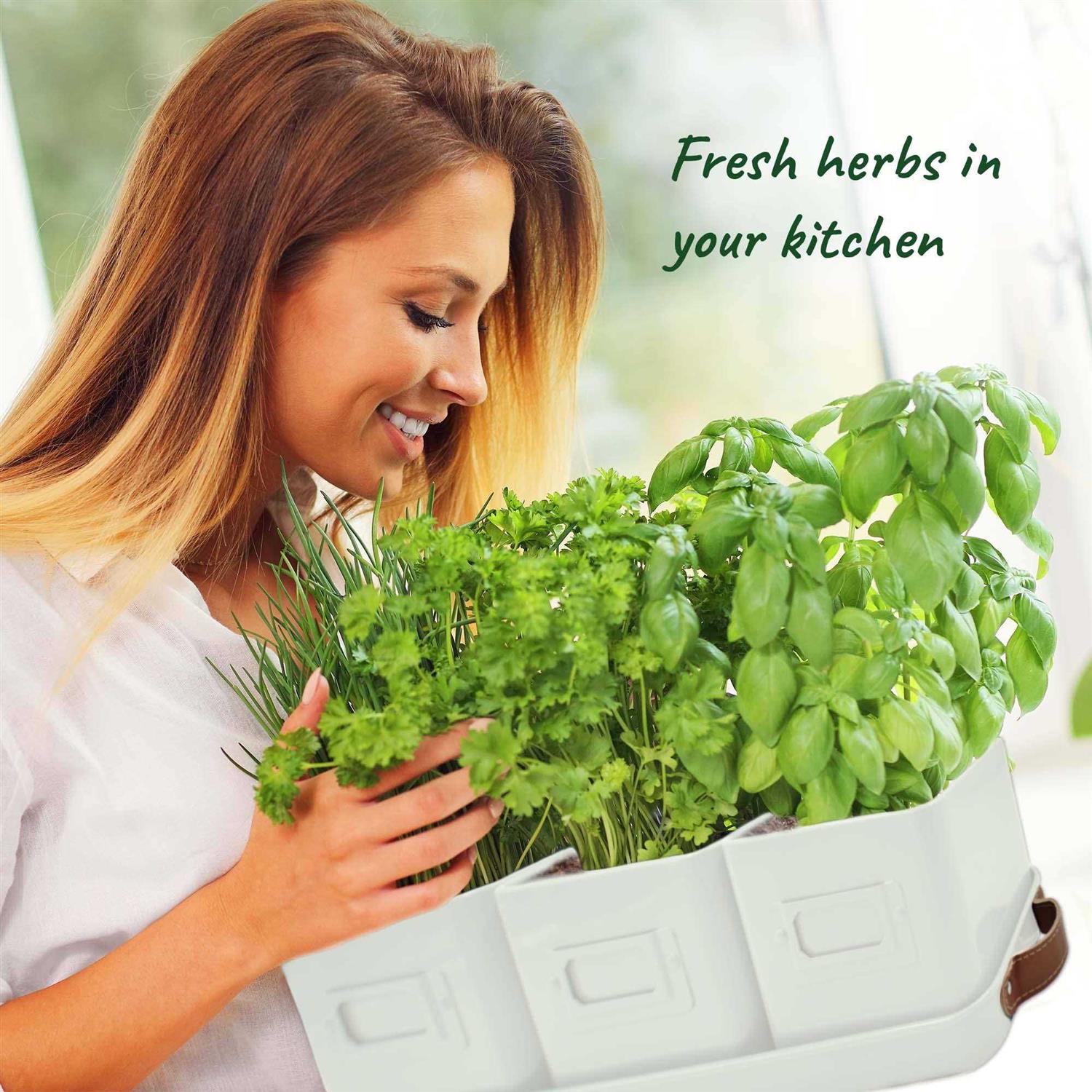 volila Window Herb Garden Planter Indoor Window Herb Planter Pots for Indoor Plants with Leather Handles and Labels