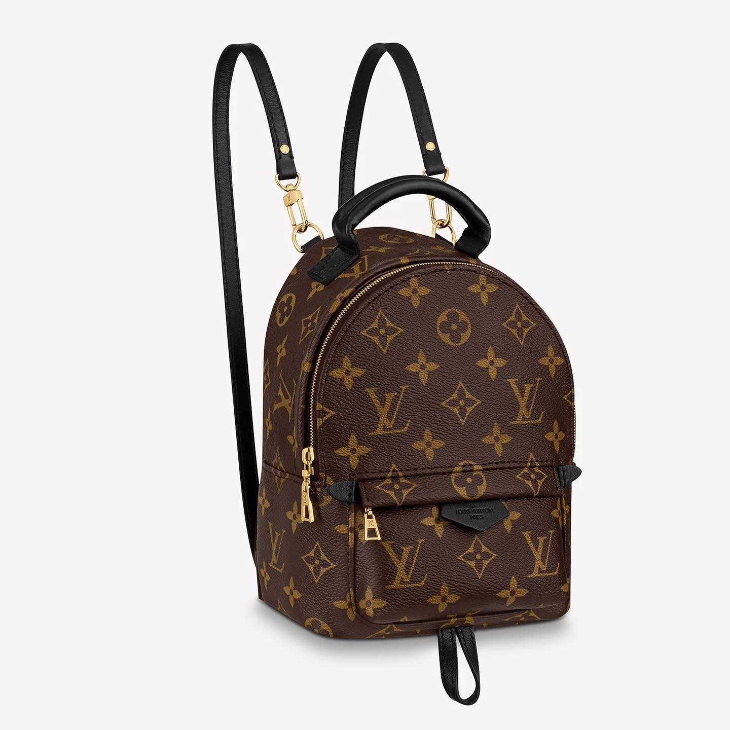 Louis Vuitton Leather Print Backpack Bag Bags