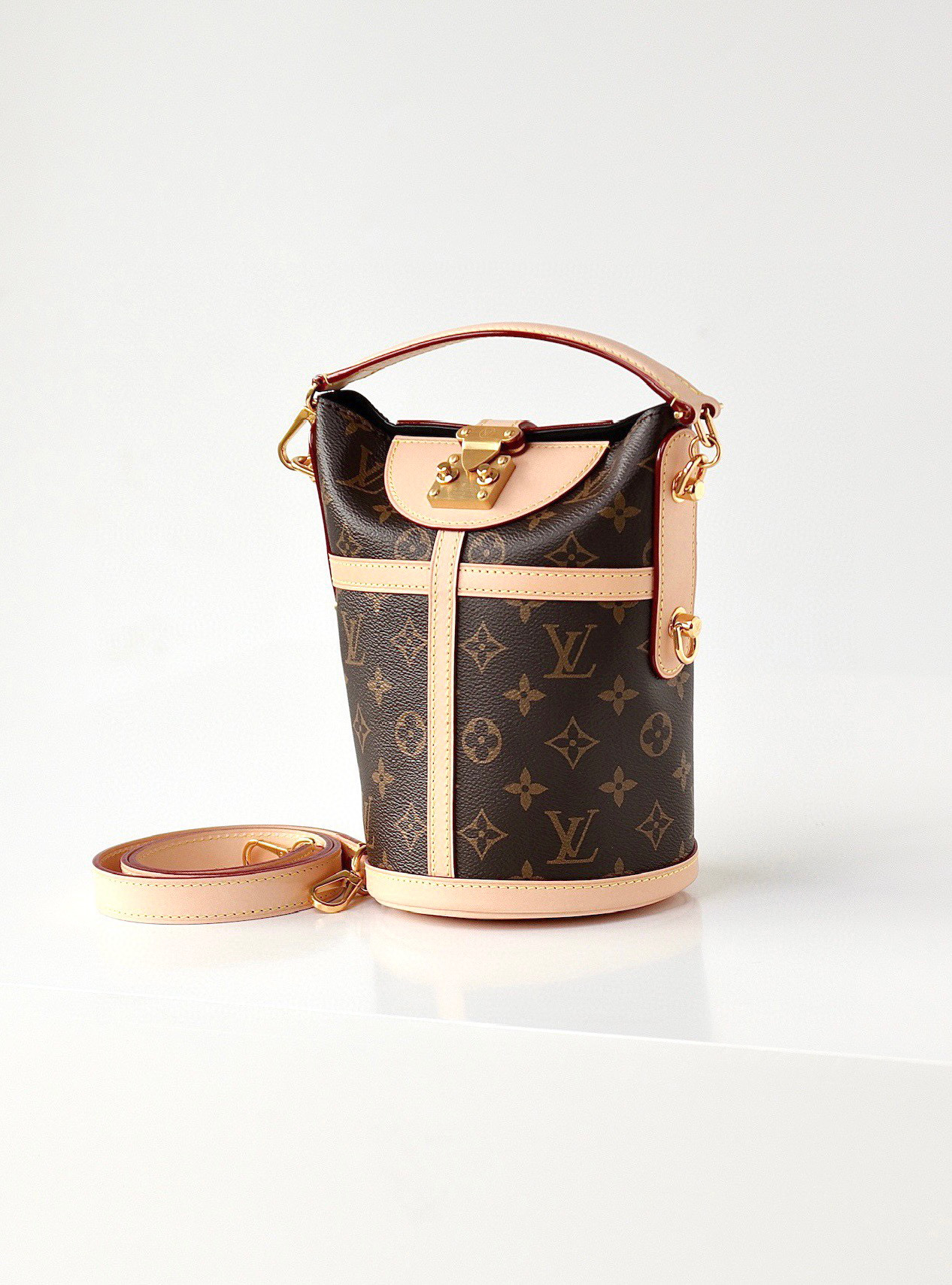 Louis Vuitton  Leather Printed Portable Bag