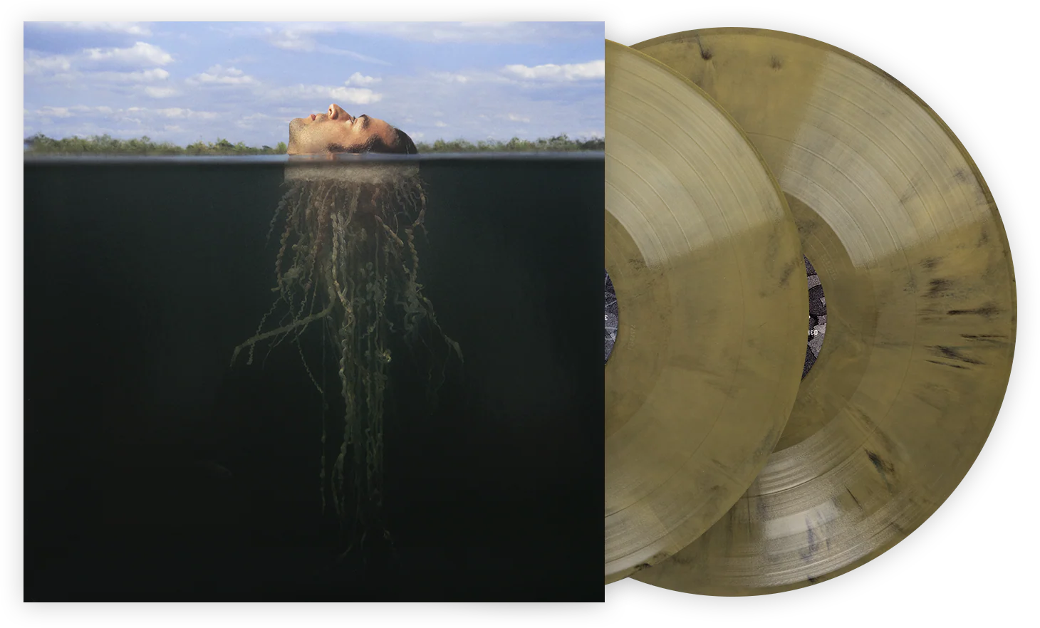 De-Loused in the Comatorium