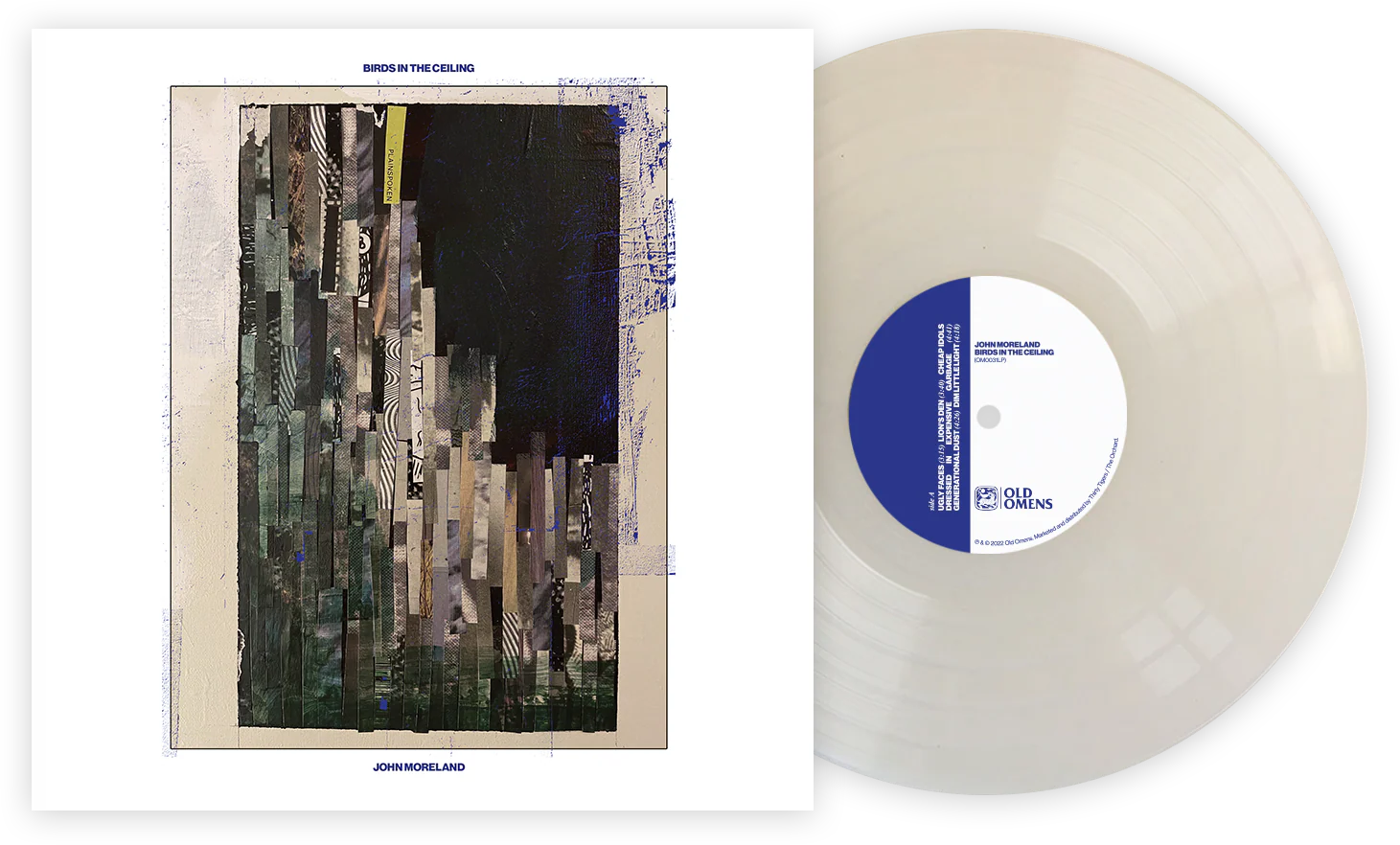 Birds in the Ceiling