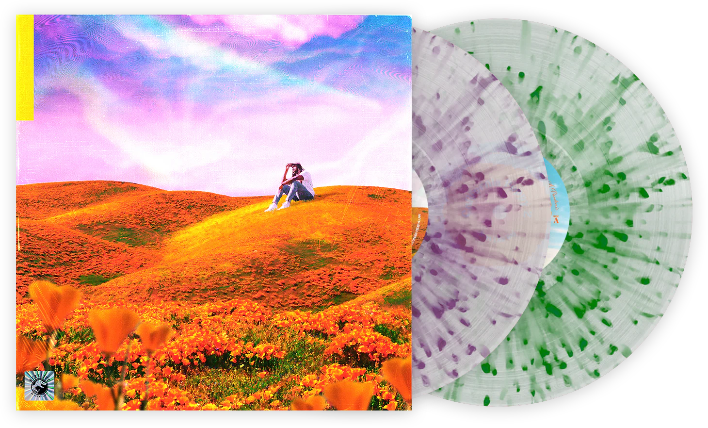 California Poppy 1 + 2