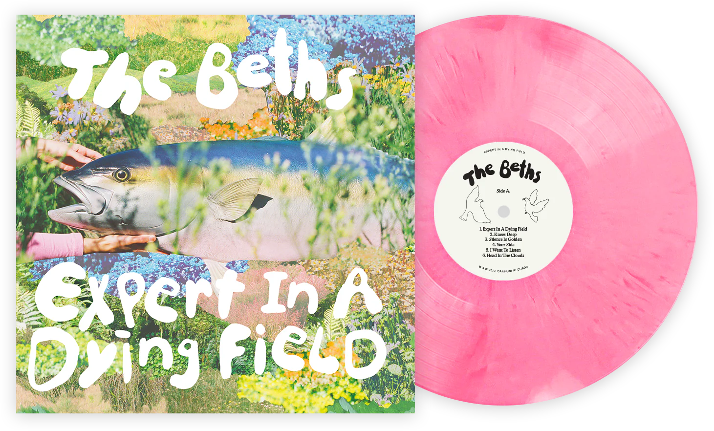 Expert In A Dying Field