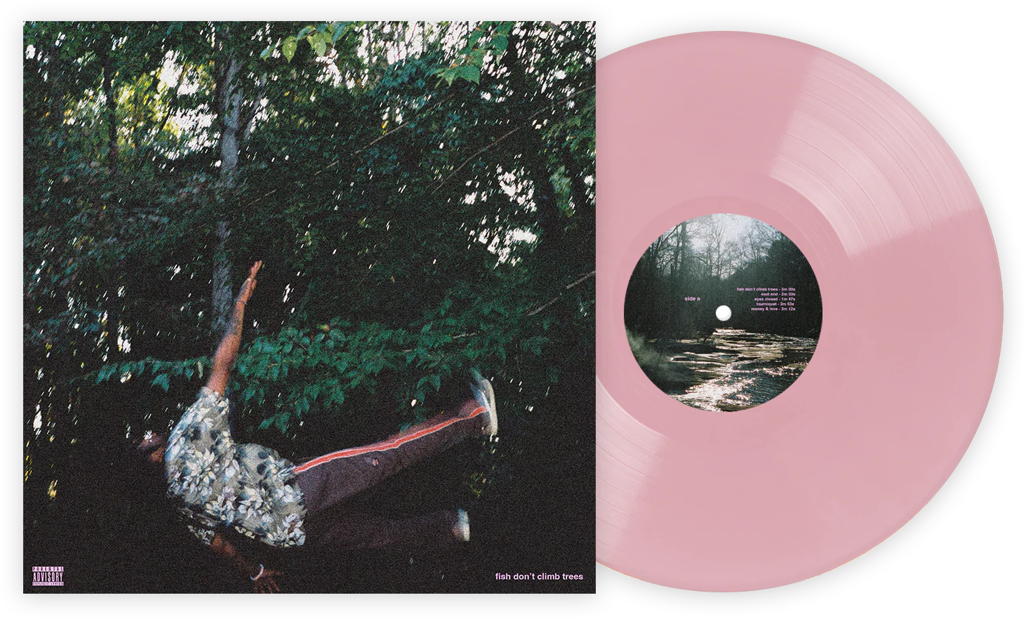 fish don't climb trees