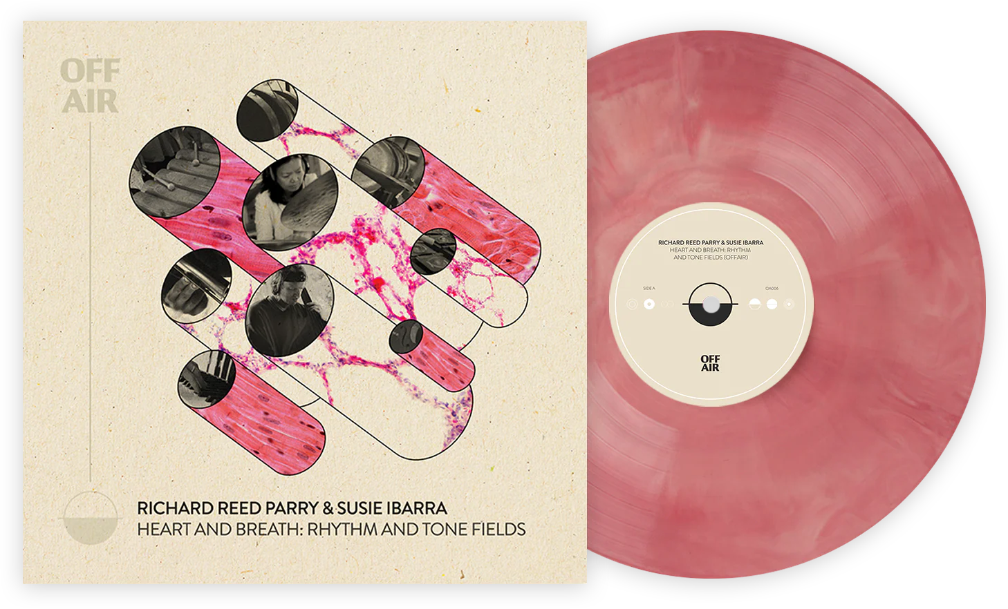 Heart and Breath: Rhythm and Tone Fields