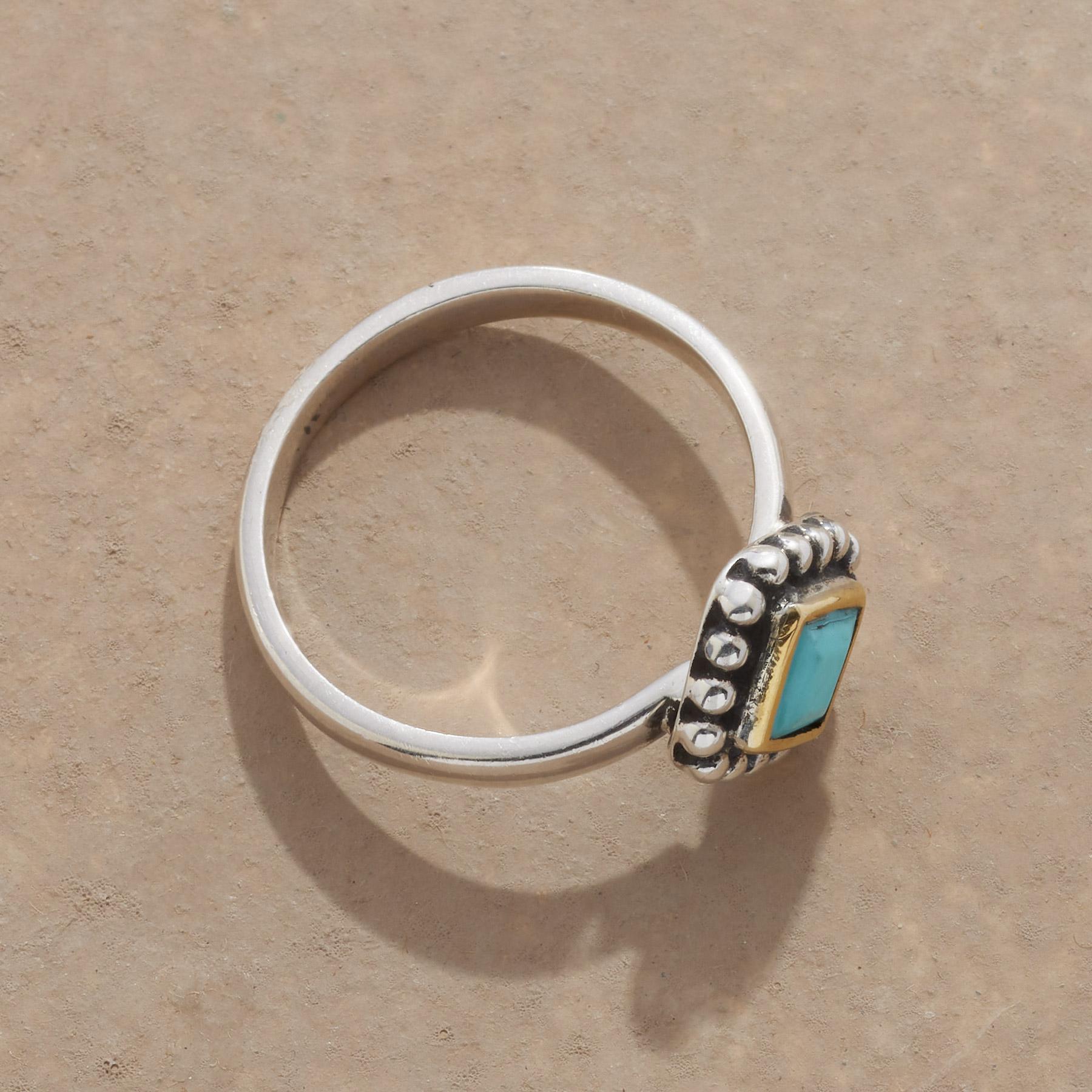 Portrait In Blue Ring