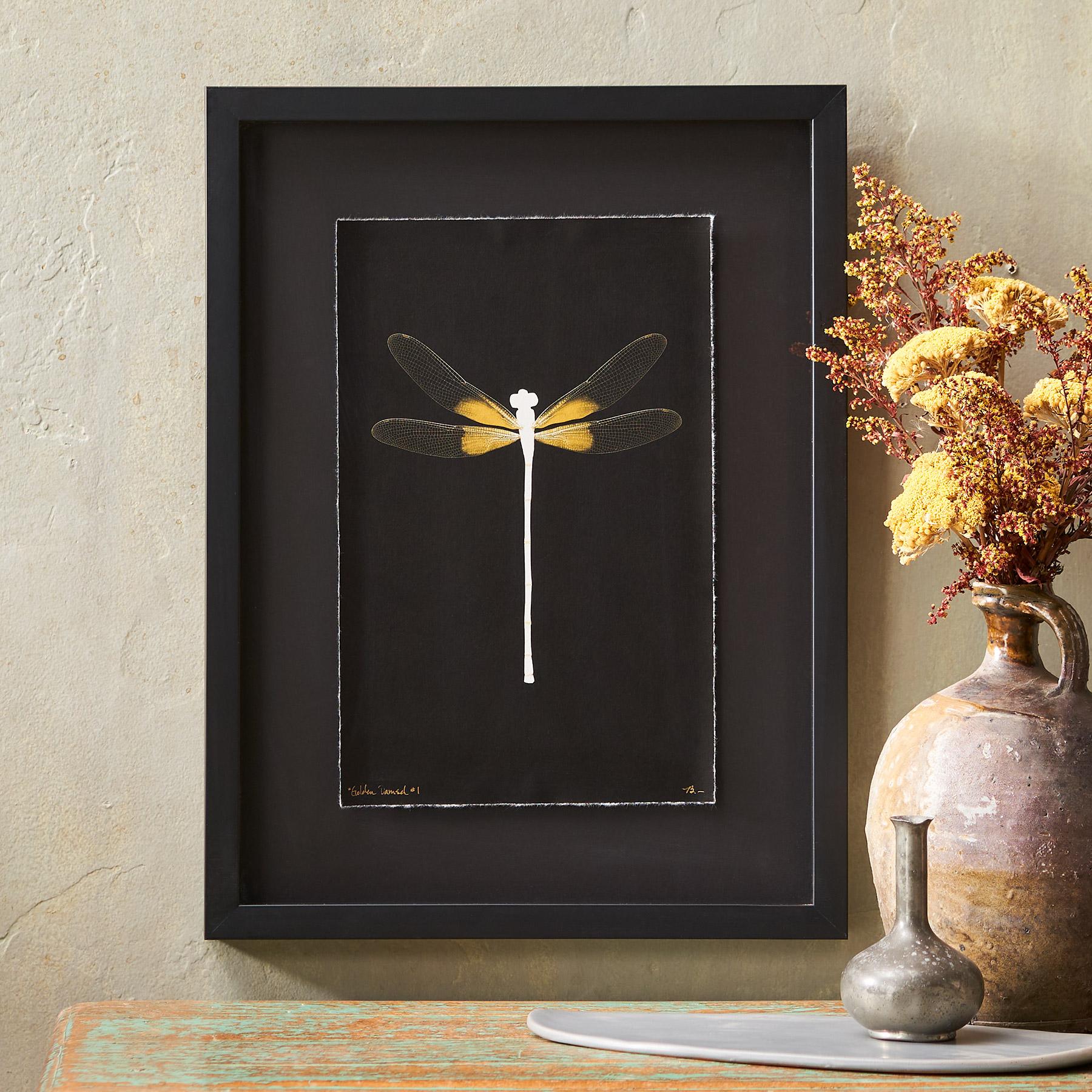 Golden Damselfly Negatives Print