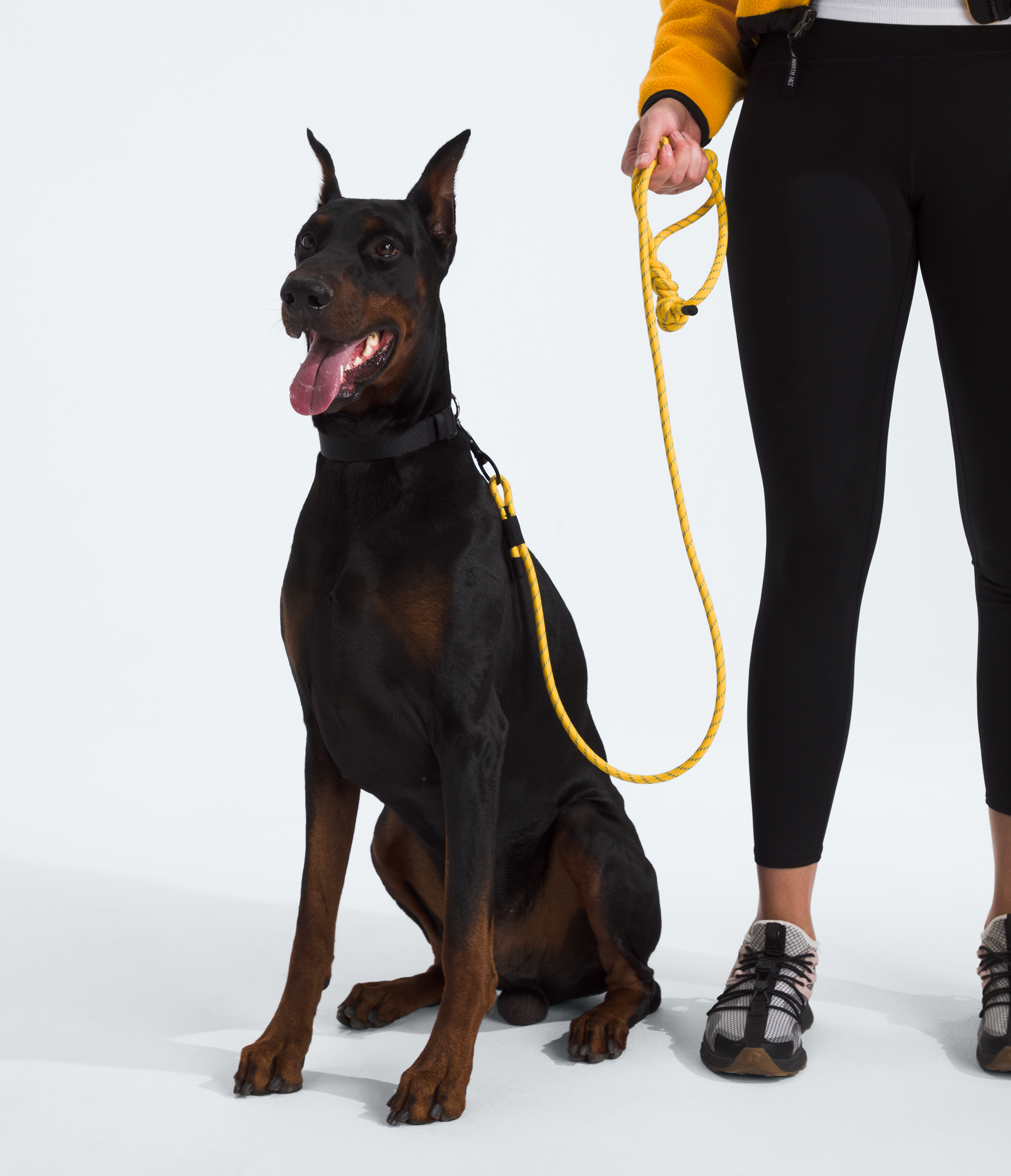 TNF™ Pet Leash