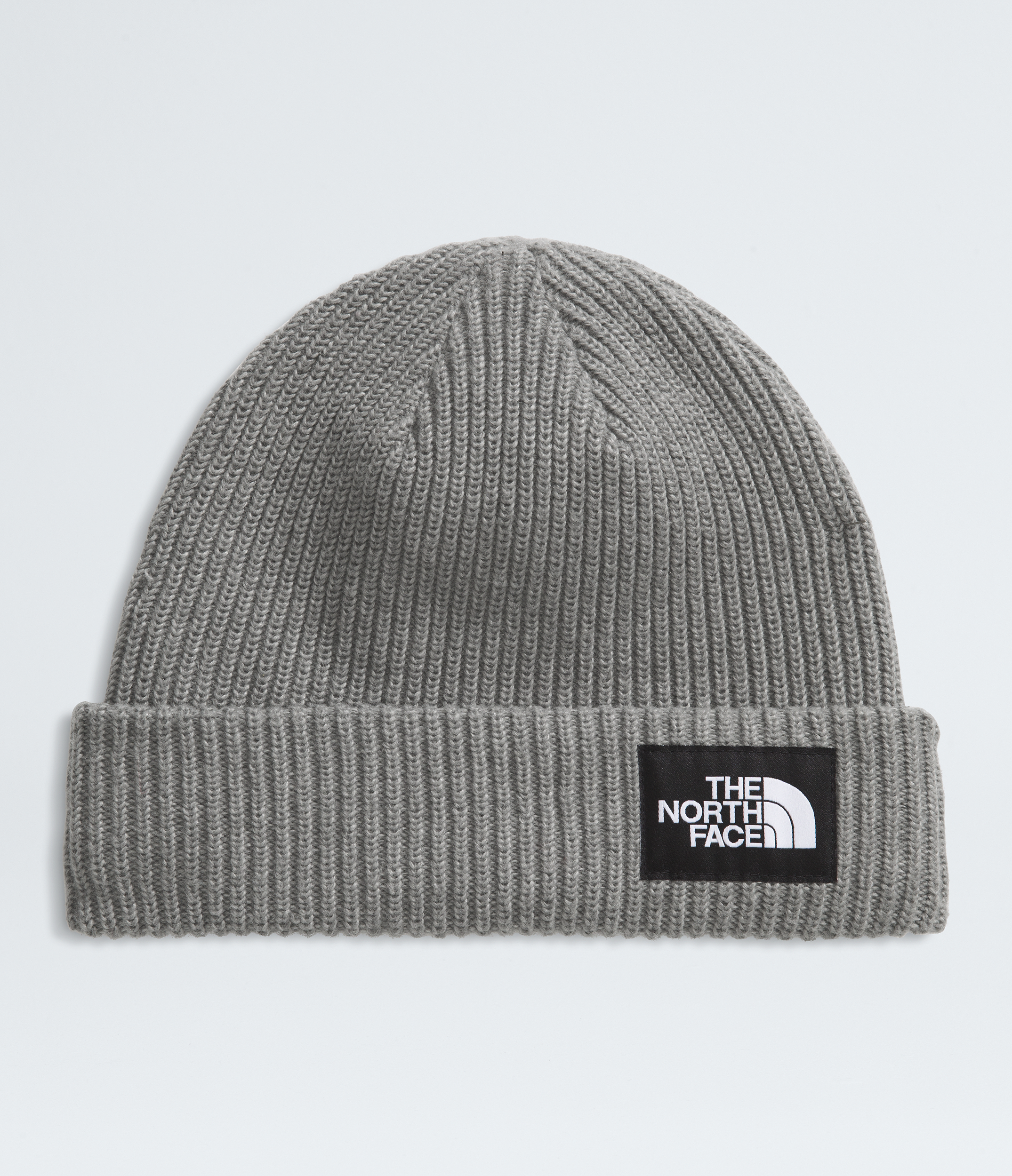 Salty Lined Beanie