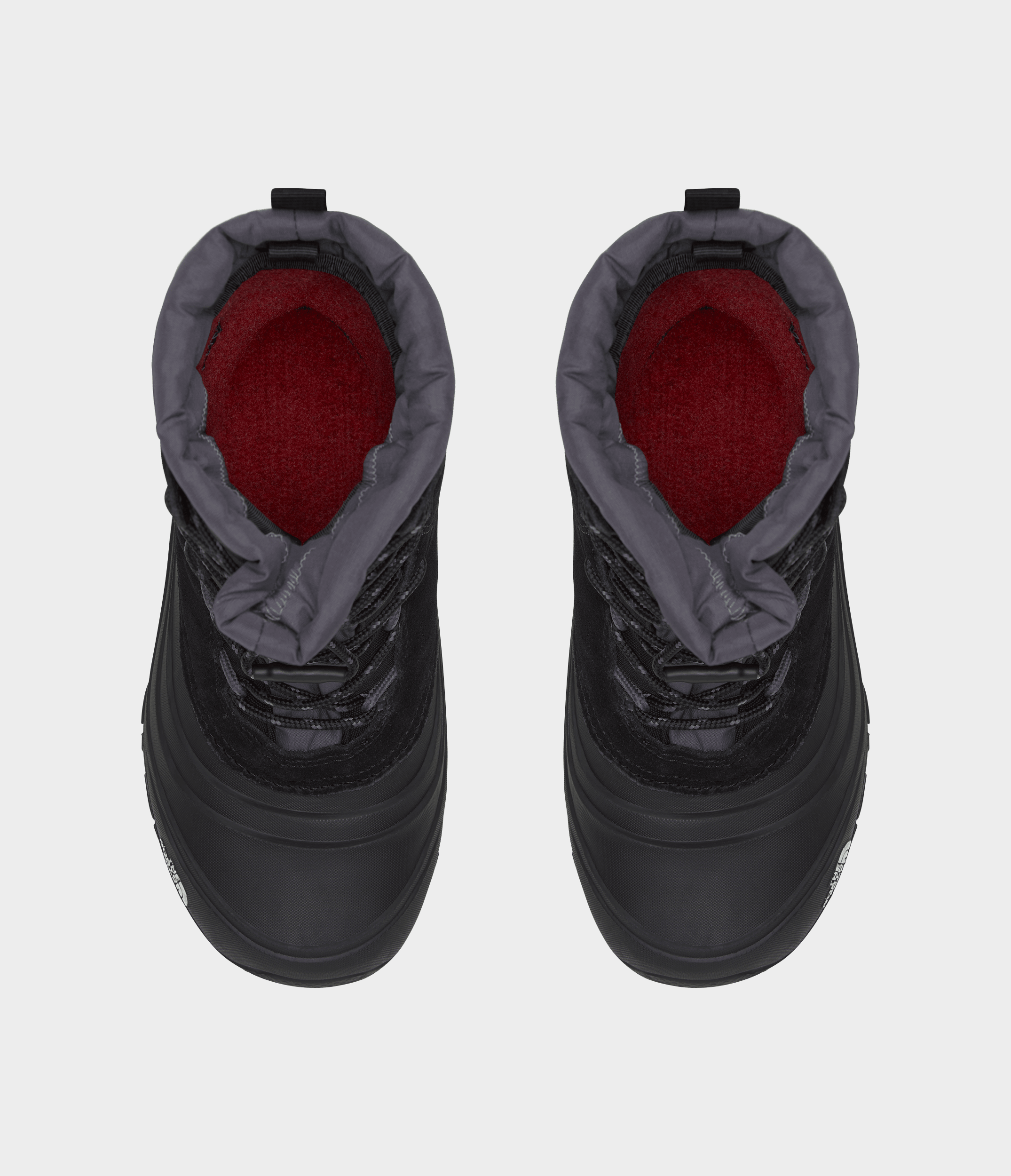 Youth Alpenglow V Waterproof Boots